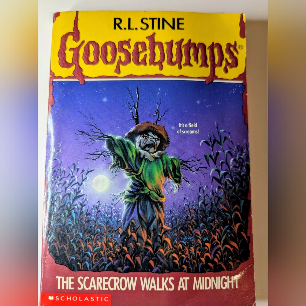 3/$15 Goosebumps #20 The Scarecrow Walks at Midnight - R.L. Stine - 1994 VTG